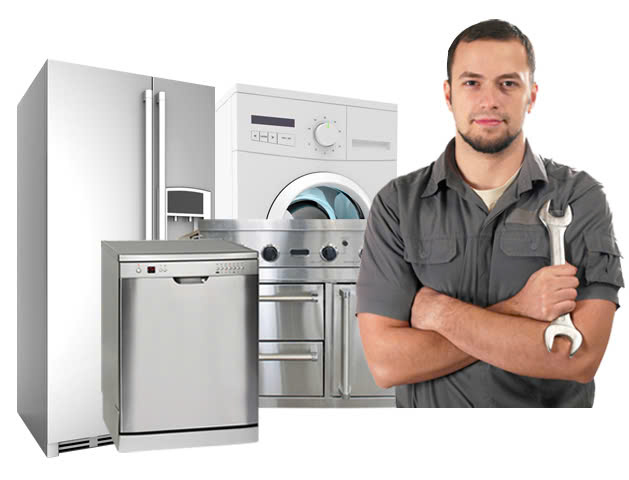 thumuatulanh.com có cung cấp dịch vụ bảo hành tủ lạnh Electrolux không? thumuatulanh.com có cung cấp dịch vụ bảo hành tủ lạnh Electrolux không?