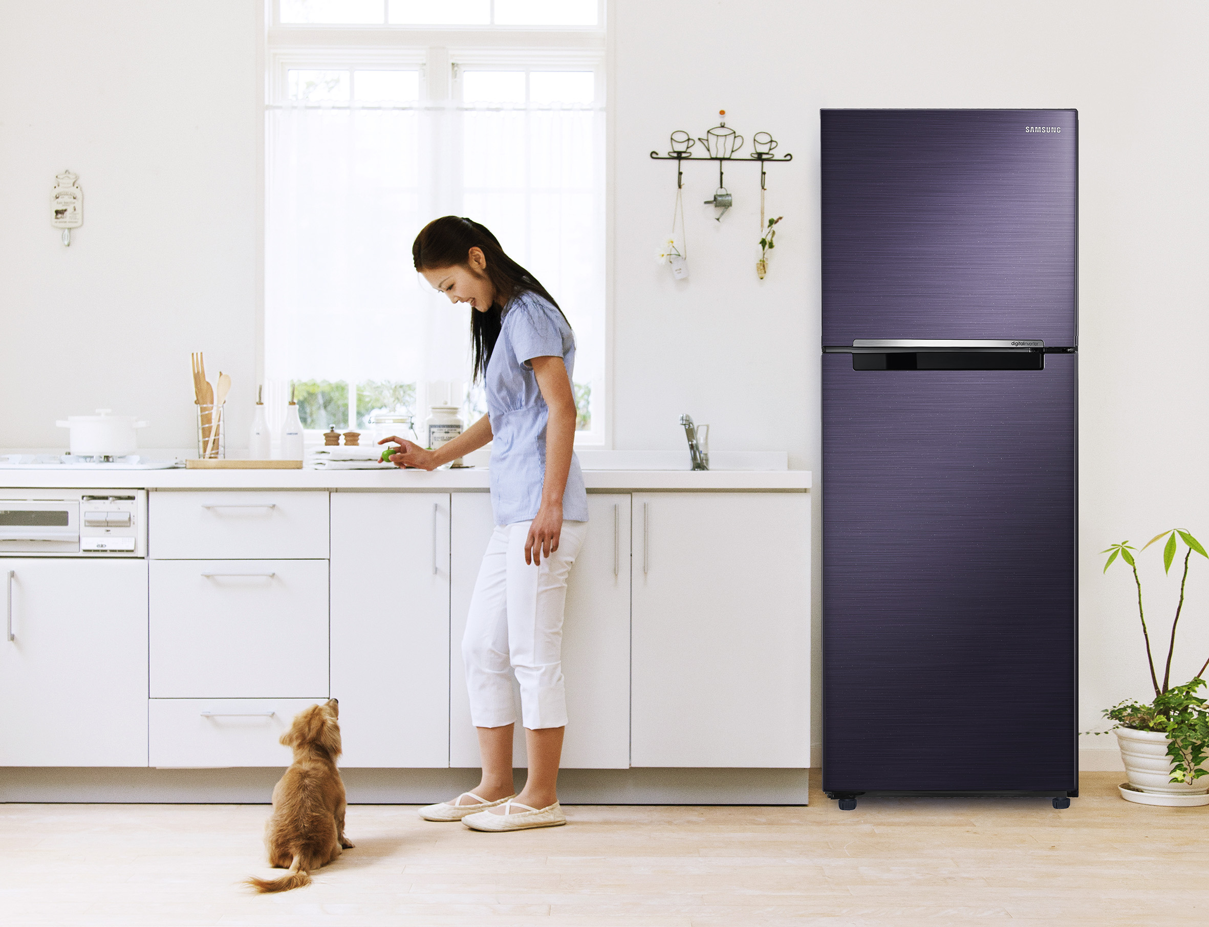 Hướng dẫn cách tự khắc phục một số lỗi cơ bản của tủ lạnh Sanyo Hướng dẫn cách tự khắc phục một số lỗi cơ bản của tủ lạnh Sanyo