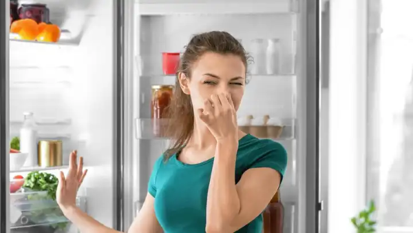 Những tác hại khi không sửa chữa tủ lạnh kịp thời