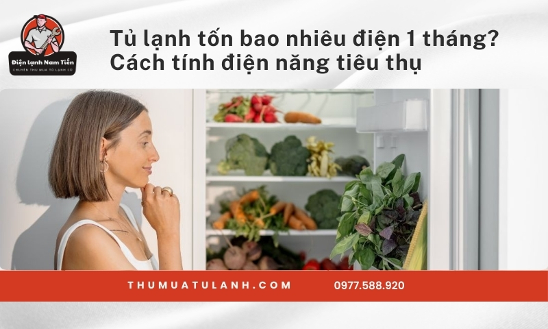 Tủ lạnh tốn bao nhiêu điện 1 tháng? Cách tính điện năng tiêu thụ