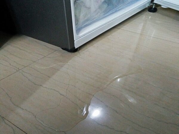 Tủ lạnh bị chảy nước dưới gầm gây ra những tác hại gì?