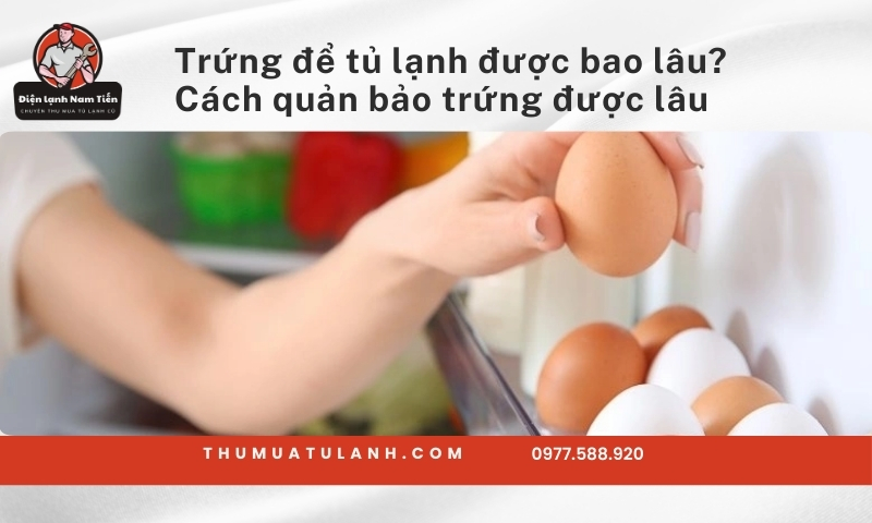 Trứng để tủ lạnh được bao lâu? Cách quản bảo trứng được lâu