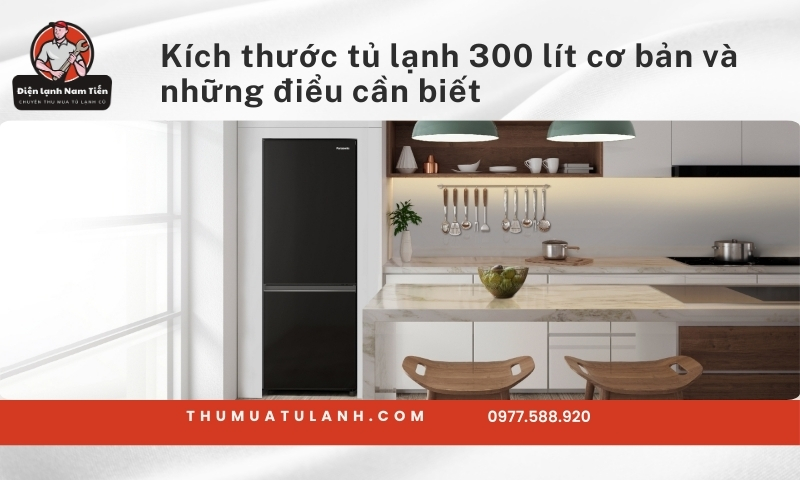 Kích thước tủ lạnh 300 lít​ cơ bản và những điểu cần biết