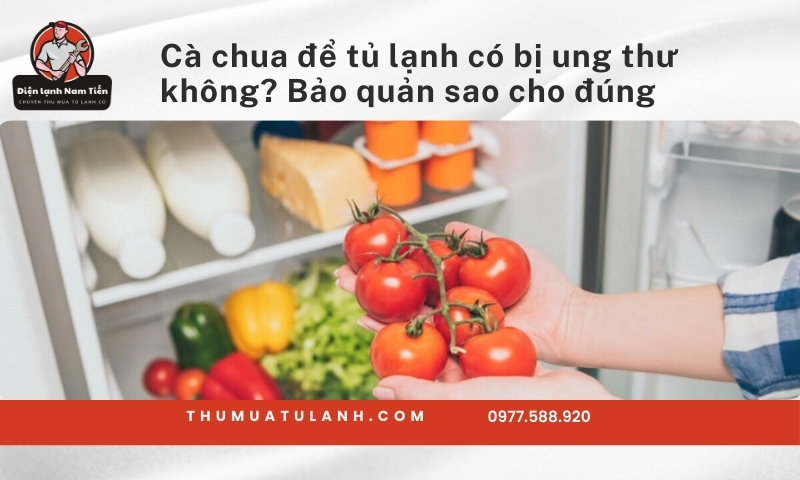 Cà chua để tủ lạnh có bị ung thư không​? Bảo quản đúng cách