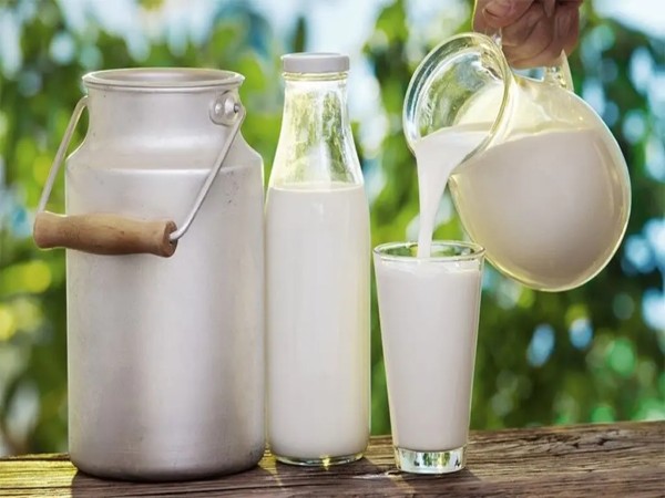 Bình đựng sữa chuyên dụng và cách sử dụng Bình đựng sữa chuyên dụng và cách sử dụng