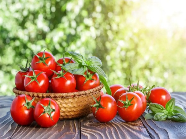 Sự thật về các phương pháp bảo quản truyền miệng Sự thật về các phương pháp bảo quản truyền miệng