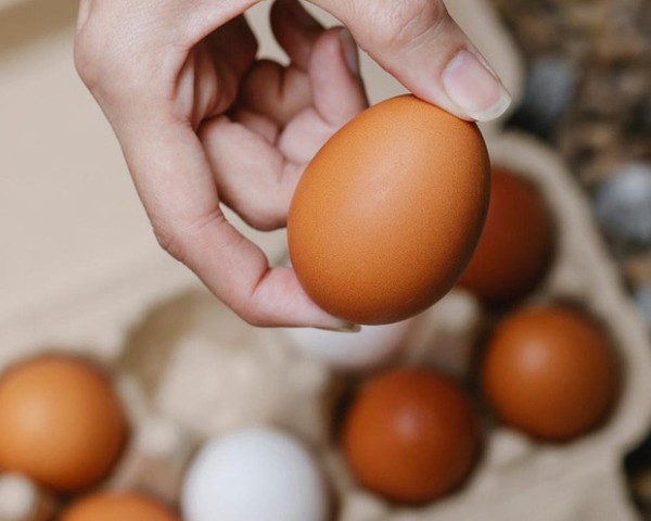 Bảo quản trứng đã luộc