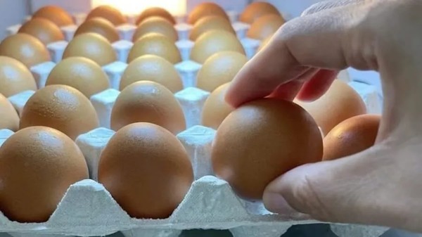 Các lưu ý quan trọng khi bảo quản trứng