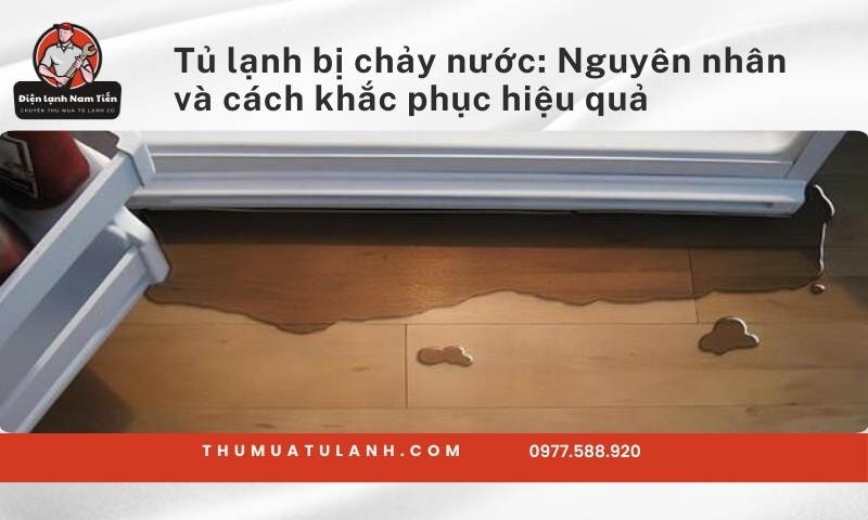Tủ lạnh bị chảy nước: Nguyên nhân và cách khắc phục hiệu quả