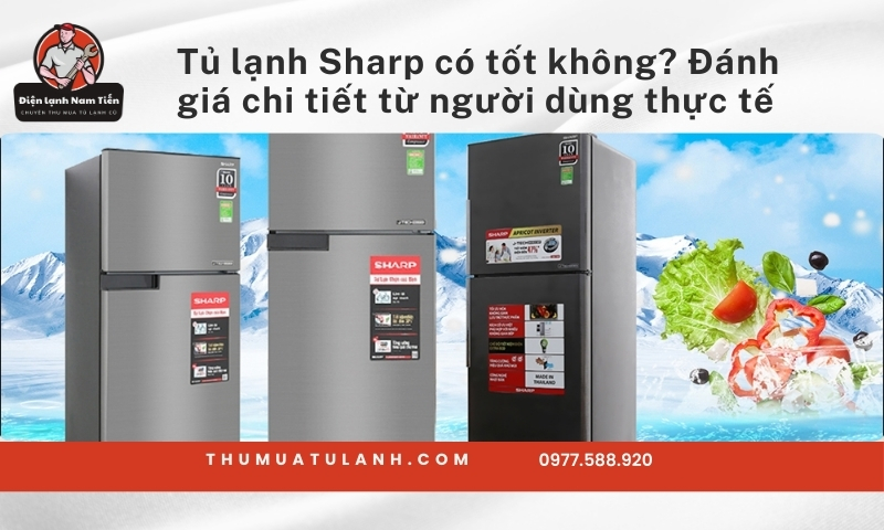 Tủ lạnh Sharp có tốt không? TOP 5 tủ lạnh Sharp HOT nhất