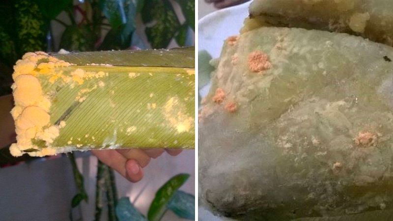 Những dấu hiệu nhận biết bánh chưng bị hỏng dù được bảo quản tủ lạnh Những dấu hiệu nhận biết bánh chưng bị hỏng dù được bảo quản tủ lạnh